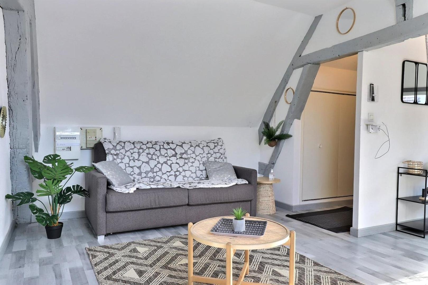 Downtown Apartment - Quiet And Cozy - Mon Groom Troyes Zewnętrze zdjęcie