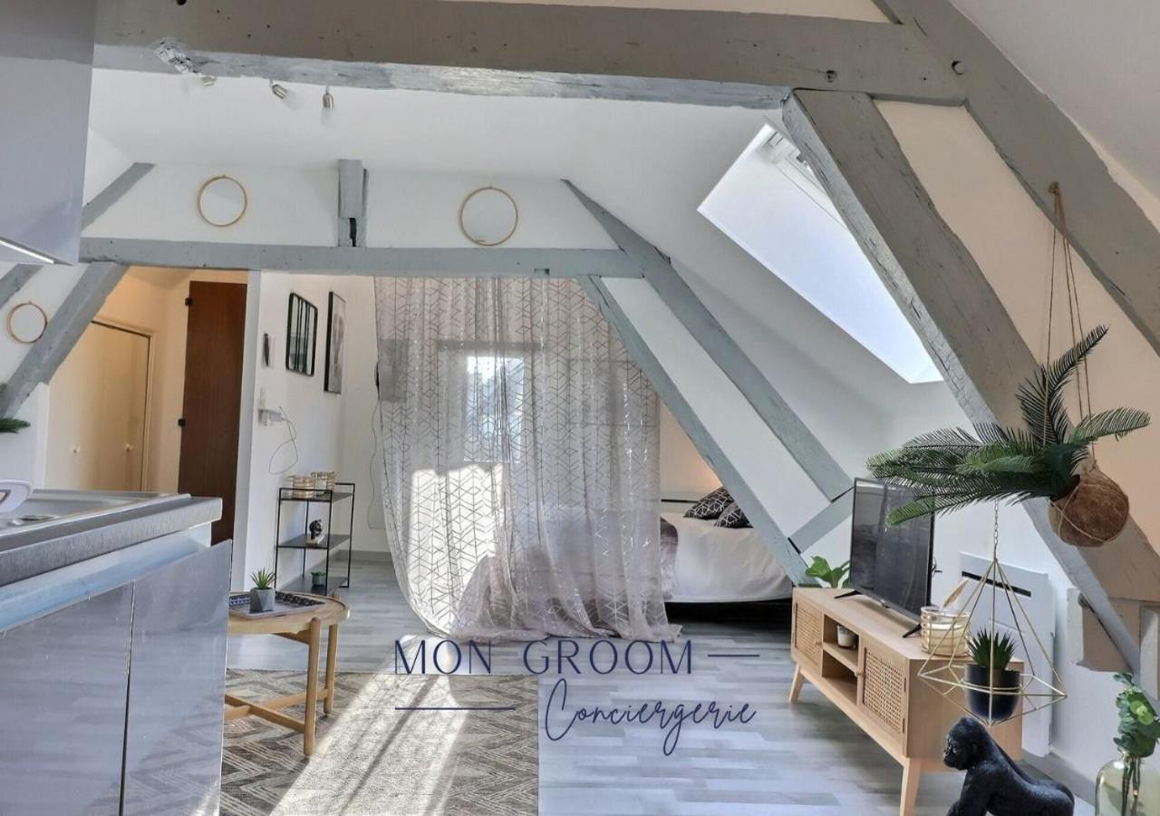 Downtown Apartment - Quiet And Cozy - Mon Groom Troyes Zewnętrze zdjęcie
